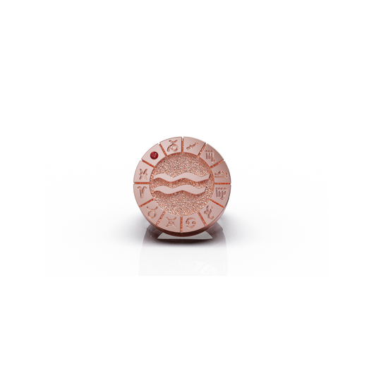 Zodiac Rings